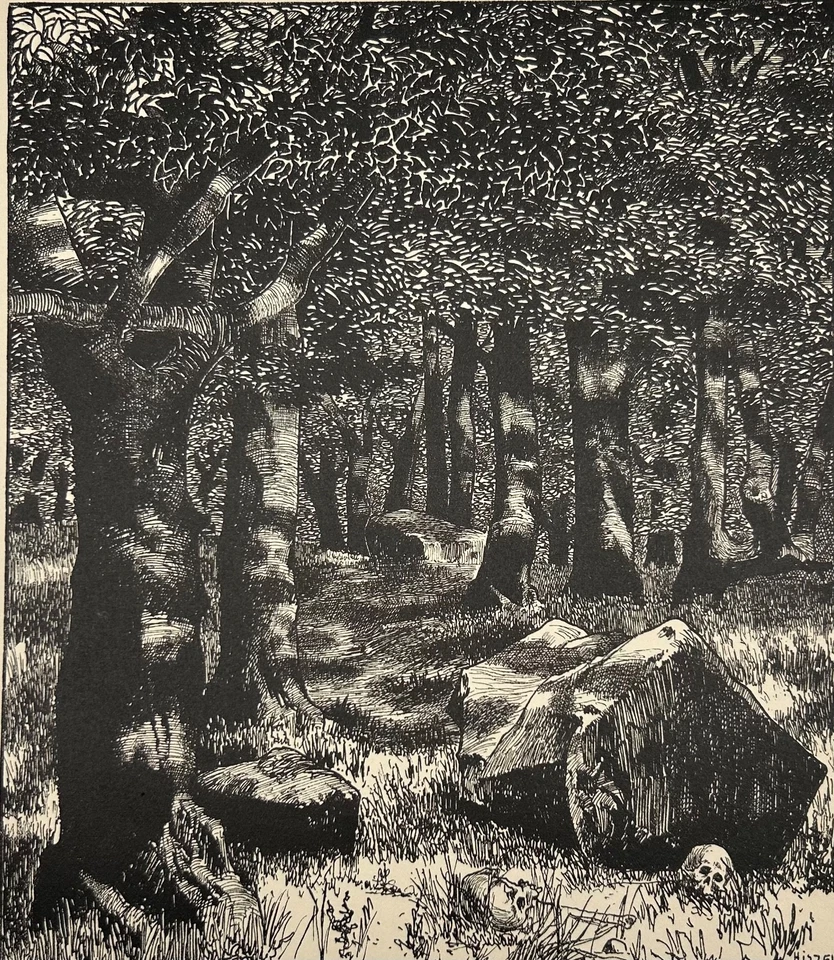 Hermann Hirzel 1864-1939 Lithografie Wald Die Opfersteine am Herthasee Rügen - Bild 3 von 4