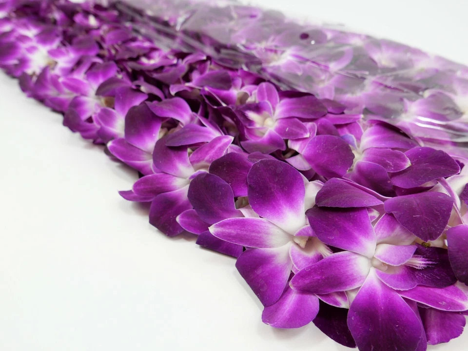 Orquídea doble Lei púrpura recién hecha a mano para graduación - ¡Envío gratuito! Foto 3 de 4