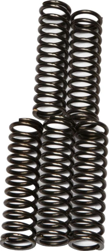 EBC CSK Clutch Spring Kit For Kawasaki ZX1200 Ninja ZX-12R 2001-2005 CSK67