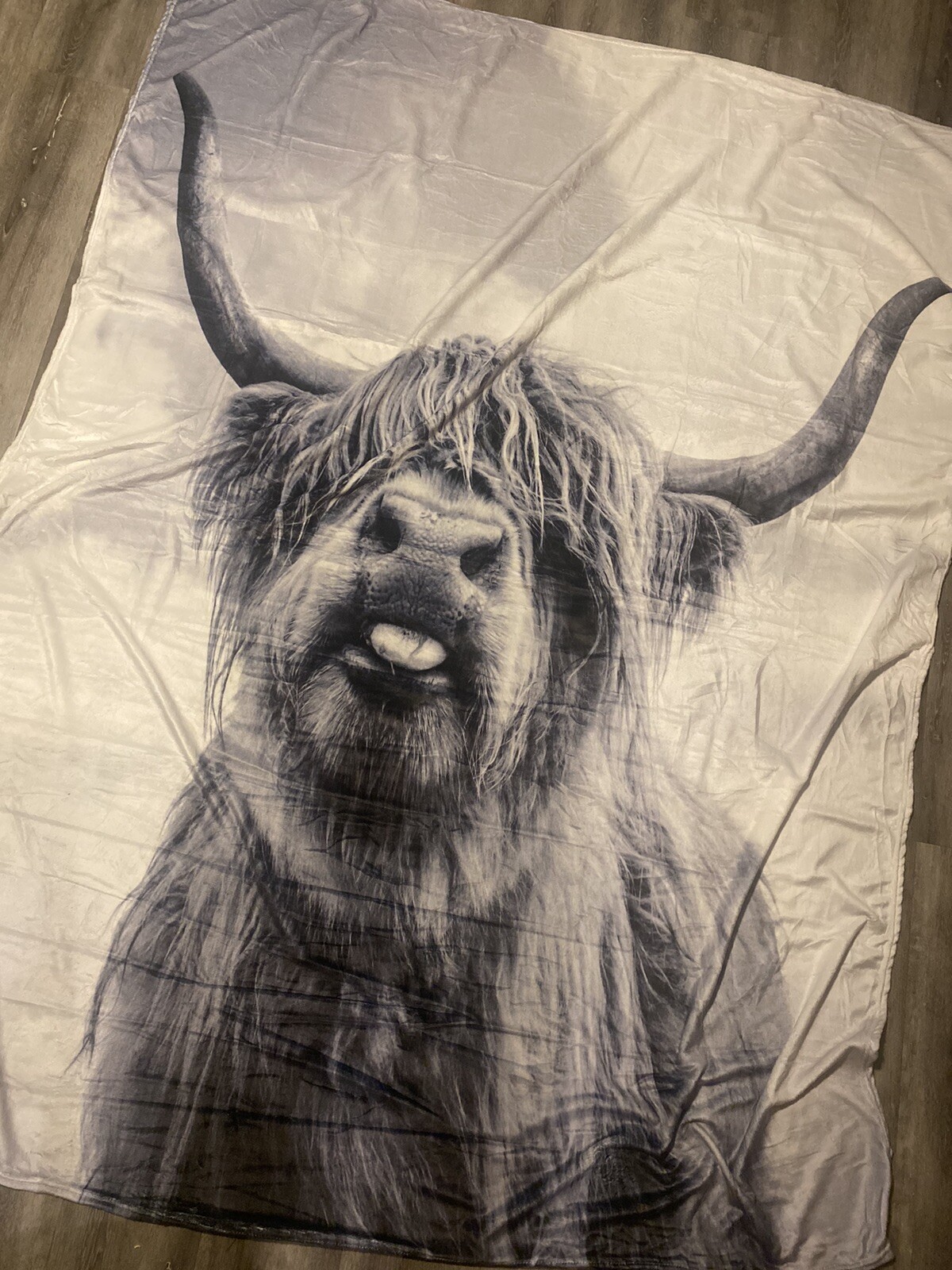 Highland Cow Blanket Gifts, 70&rdquo;x80&rdquo; Highland Cow Print Throw Blanket, Soft Cozy