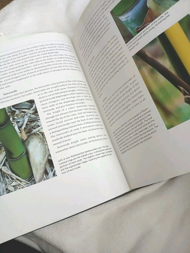 Bamboo for Gardens by Ted Jordan Meredith 2001 Hardcover Dust Jacket Landscape - Picture 12 of 20