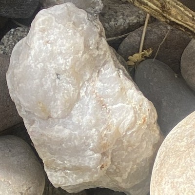 Natural Sparkly White Quartz Crystal Mineral Specimen Stone Display