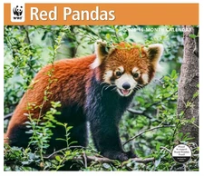 2026 WWF Red Pandas Wall Calendar – 16-Month Nature Photography Calendar