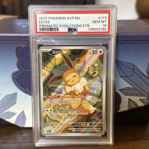 2025 POKEMON SVP EN-SV BLACK STAR PROMO #173 EEVEE PSA 10