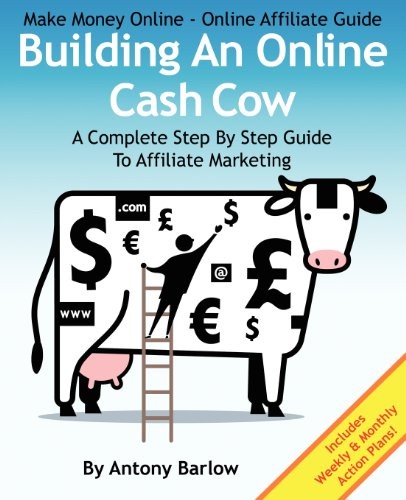 Make Money Online - Online Affiliate Guide: Building An Online C