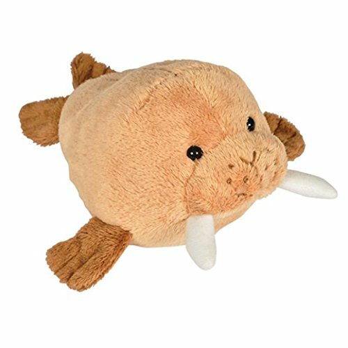 Walrus Bean Filled Plush Stuffed Animal eBay