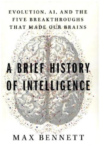 Thumbnail - A Brief History Of Brains 7055