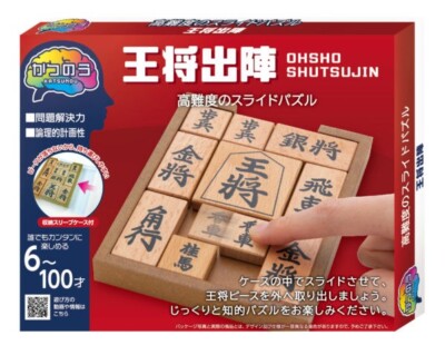 Hanayama Katsunou Osho Shutsujin Difficult Slide Puzzle