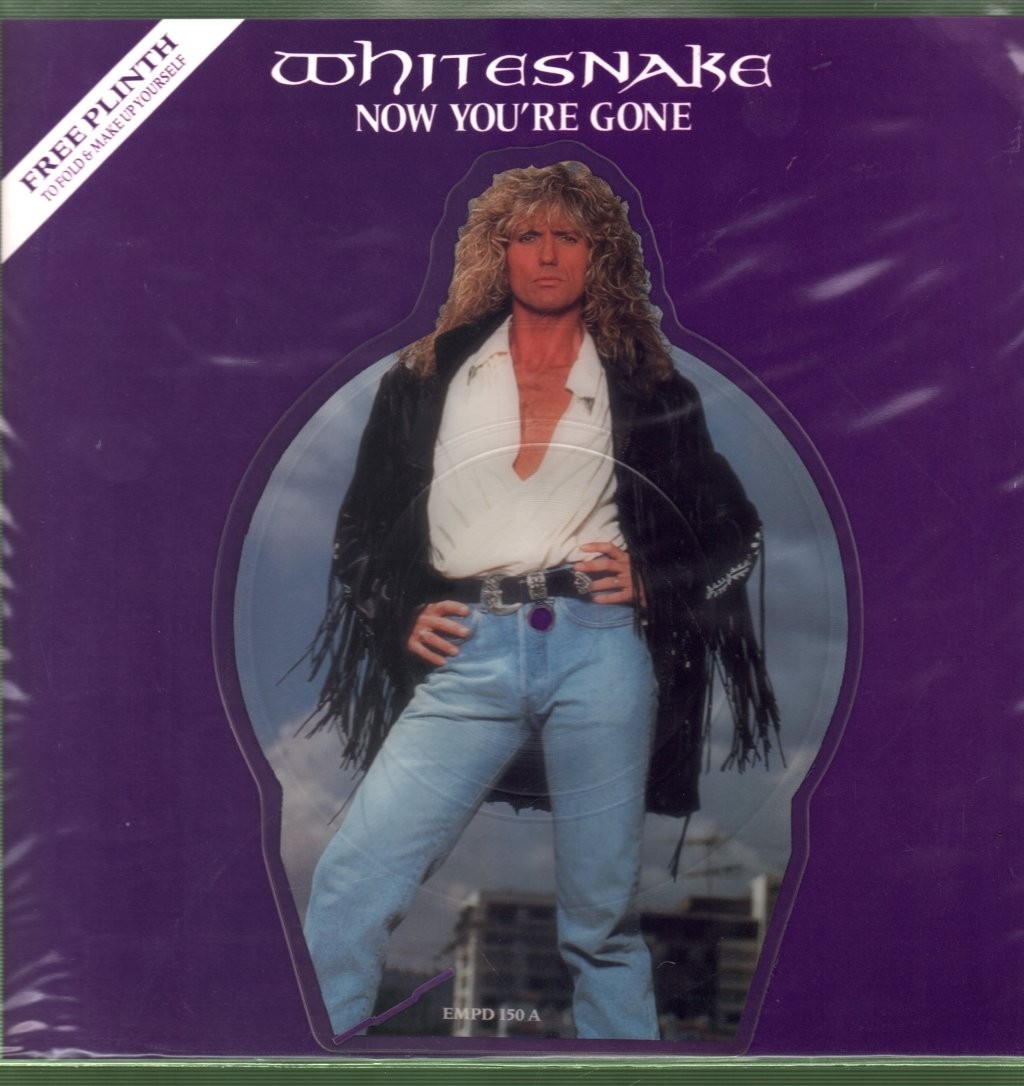 Whitesnake Now You're Gone 7"" vinyl UK Emi 1990 limited shaped vinyl pic disc