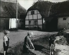 1970 Press Photo Children Play On A Rural Farm In Denmark