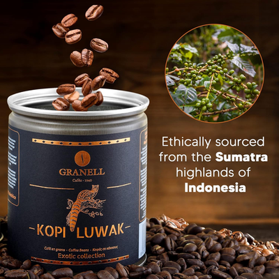 Premium Kopi Luwak Coffee Beans - Rich Aroma & Ultra Smooth Finish