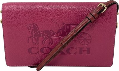 Coach Anna Colorblock Crossbody With Embossed Horse Carriage - Violet - C5887