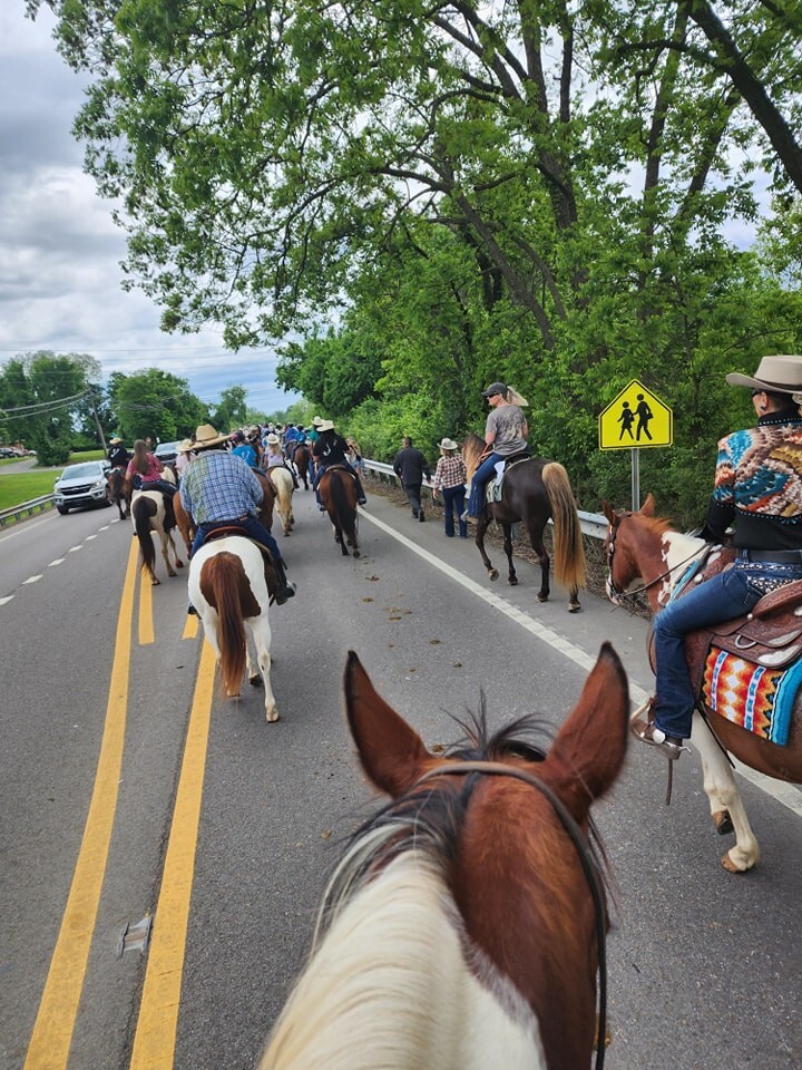 Western Showmanship Shirt M Matching Wool Show pad 34x42 Orange Blue Black Gold
