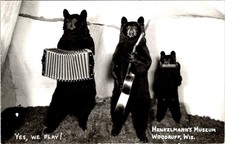 RPPC, Woodruff WI Wisconsin  HENKELMANN'S MUSEUM Taxidermy Bear Band  Postcard
