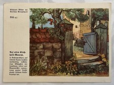 Natur-Bilder + Berliner Morgenpost + Sammelkarten + 1933+Bild 45 /2504