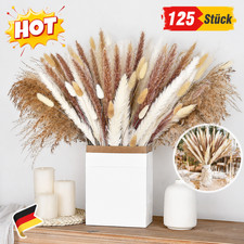 Nat&uuml;rliche Pampasgras Getrocknet 125 St&uuml;ck Trockenblumenstrau&szlig; Wohnzimmer