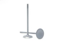 Safety Auto Parts Intake Valve - Item # VN12-129