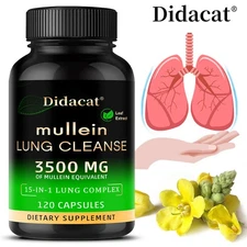 Mullein Leaf Extract Capsule Support Bronchial Lung Health Enhance Immune 120 US