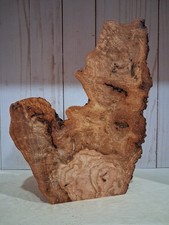 XL Curly BIRDSEYE RED OAK Burlwood Blank Craft/EPOXY Wood Turning Wood, Oak Burl