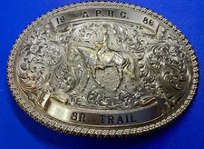 APHC American Paint Horse Club SR TRAIL Bronze Trophy Gist for Levis Belt Buckle