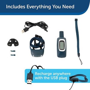 petsafe 100 yard lite remote trainer