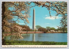 The Washington Monument DC Postcard