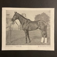 BALD EAGLE  10 X 8 photo Horse  Racing 1960 CHAMPION
