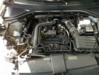 Foto 10 di 24