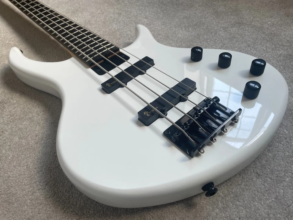 Epiphone Toby by Tobias Standard IV Rare, photo 2 of 5
