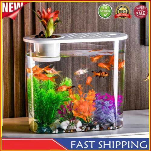 Plastic Clear Table Fish Bowl Shatterproof Soil Cultivation - Picture 1 of 24