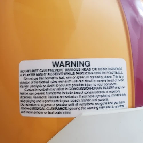 WASHINGTON REDSKINS FULL SIZE AUTHENTIC HELMET SIGNED SONNY JURGENSEN HOF83 AND.