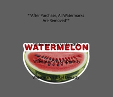 Watermelon Slice Sticker Waterproof Decal Fruit Food Farm Garden Gift NEW