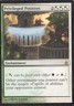 Privileged Position HP #251 Ravnica: City of Guilds Magic The Gathering