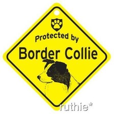 Protected by Border Collie Dog Window Sign Made in USA 5 1/2 x 5 1/2