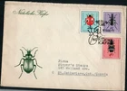GERMANY DDR 1968 FIRST DAY COVER TIGER BEETLE
