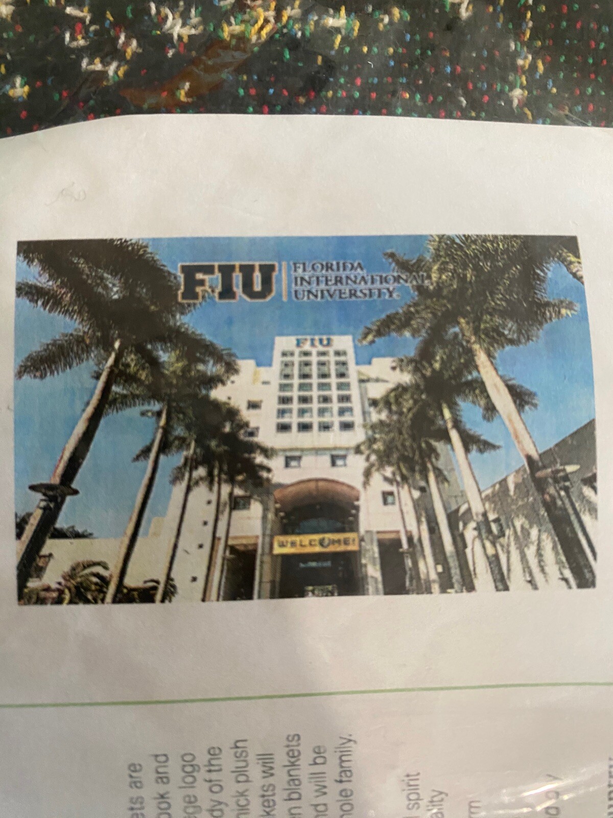 Ebay Item For Sale