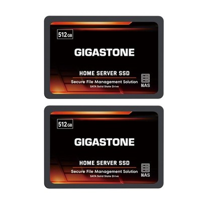 Gigastone 【NAS Certified】 512GB Home 512GBx2, Server SSD 2-Pack