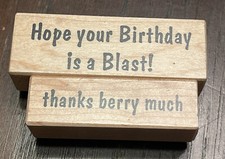 2 VTG STAMPA ROSA  Hope Your Birthday Is A Blast     Thanks Berry Much  Stamps