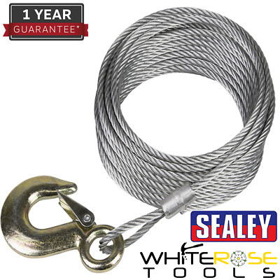 Sealey Windenseil 900kg 10m Hebebühne 