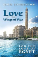 John Livingston | Love On The Wings Of War | Taschenbuch | Englisch (2016)
