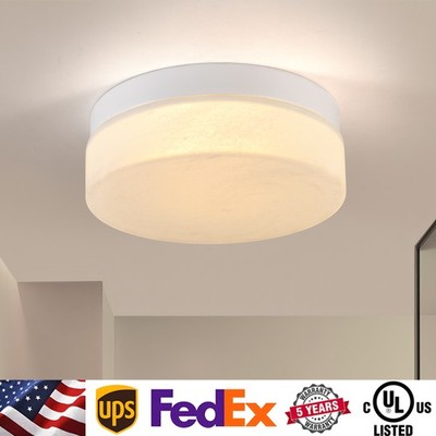White 24W Ceiling Light 5CCT LED Modern Flush Mount Glass Shade Kitchen Fixture