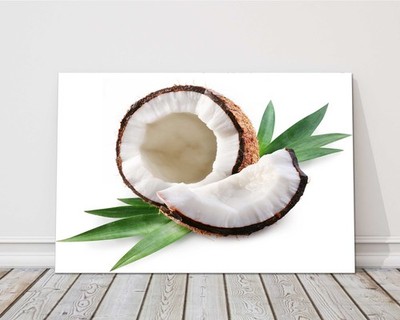 Bild einer Kokosnuss auf weißem Hintergrund. Exotische Früchte, tropische Früchte. Canvas p