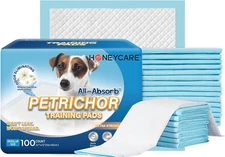 HONEY CARE All-Absorb, Large 22" X 23", 100 Count, Dog and Puppy Training Pads, 