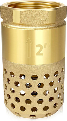 Brass Foot Valve, 2 Inch NPT Spring Mesh Check Valve Female Connection One Way F