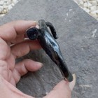 Picture 5 of 6