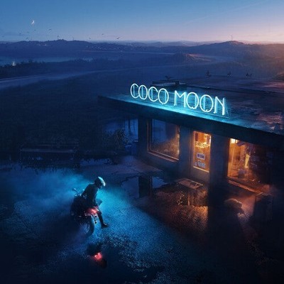 Owl City Coco Moon Records & LPs New