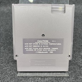 Disney Adventures in the Magic Kingdom (NES) - CIB Great Condition