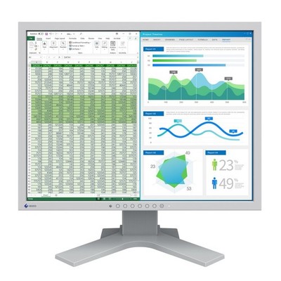 EIZO FlexScan S2134-HGY 21.3 Inch LCD Monitor 1600x1200 VGA DVI DisplayPort