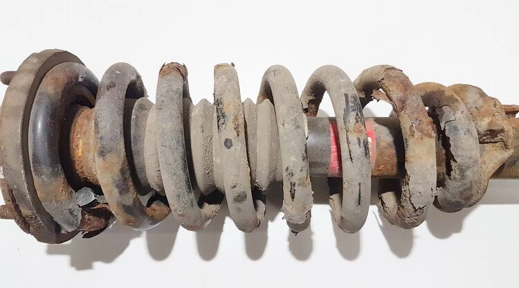 341365 Genuine Shock Absorber - Suspension Strut Assembly - front  