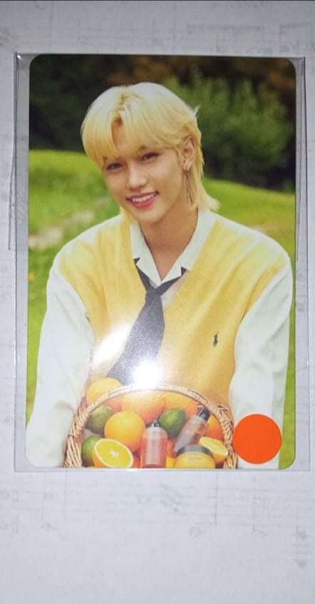 straykids ストレイキッズ スキズ フィリックス ナシフィック Stray Kids FELIX Official photocard NACIFIC x Stray Kids | eBay